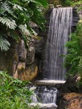 Image for Pangani Forest Gorilla Falls