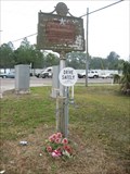 Image for Al Lopez Park - Tampa, FL