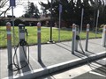 Image for Rinconada  Library Chargers - Palo Alto, CA