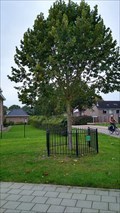 Image for Kroningsboom koning Willem-Alexender - Doesburg, NL