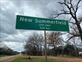 Image for New Summerfield, TX - Population 843