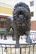 Image for The Lion at Grand Prairie