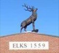 Image for Elk's Elk - Washington, MO