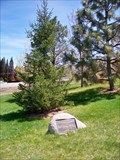 Image for German American Memorial Grove - May Arboretum - Reno, Nevada