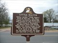 Image for Little Walter