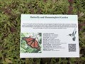 Image for Google Butterfly Garden - Mountain View, CA