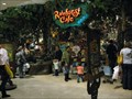 Image for Rain Forest Cafe - Oak Park Mall - Overland Park, KS