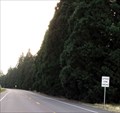 Image for Hwy 99 Redwoods, Aurora, Oregon