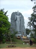 Image for Avukana Buddha - Giritale, Sri Lanka