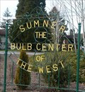 Image for The Bulb Center of the West,  Sumner, WA