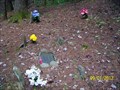Image for Post Family Cemetery - Great Smoky Mountains National Park, TN