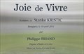 Image for Joie de Vivre par Stanko Kristic - Saint-Cyr-sur-Loire, France