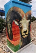 Image for Big Horn Sheep - Las Vegas, NV
