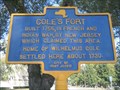 Image for Cole's Fort