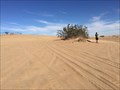 Image for Imperial Sand Dunes - Felicity, CA