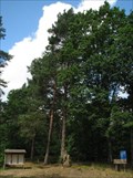 Image for Arboretum im Walderlebniszentrum Ehrhorn