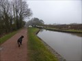 Image for Worcester & Birmingham Canal – Lock 55 – Tardebigge, UK