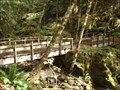 Image for Falls Creek Falls Trail Bridge  -  Oregon