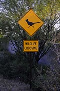 Image for Roadrunner Crossing Sign, Cave Creek, AZ