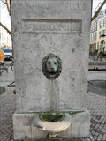 Image for Lion Heads - Utrecht, NL