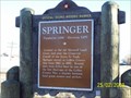 Image for Springer