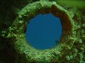Image for SS Thistlegorm