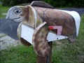 Image for Turtle Mailbox -Hobe Sound,FL