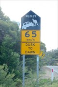 Image for Kangaroo Crossing, Freycinet National Park, TAS, AU