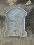 Image for Thomas Herring - Laurel Hill Cemetery - Thomasville, GA
