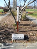 Image for Peace Pole - Baker Park - Frederick, MD