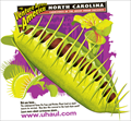 Image for U-Haul #91: North Carolina
