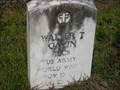 Image for "Walter T. Gavin WWII Veteran" 