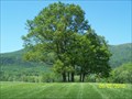 Image for LeQuire Family Cemetery - Cades Cove, Great Smoky Mountains, TN