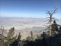 Image for Coachella Valley from Mountain Station - Palm Springs, CA