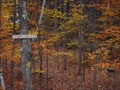 Image for Sargent Town Forest Nature Trail  -  Pittsfield, NH