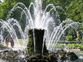Image for The Sheaf Fountain at Peterhof.