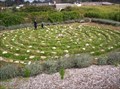 Image for Earthbound Farms: The Chamomile Labyrinth