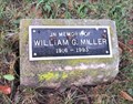 Image for William G. Miller Tree - Perrysburg, OH