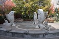 Image for Fish Fountain -- The Green, Charlotte NC