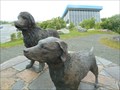 Image for Newfoundland Dog and Labrador Retriever - St. John's, Newfoundland and Labrador
