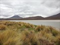 Image for Laguna Hedionda - Uyuni, Bolivia