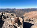 Image for Highest Point in New Mexico (Wheeler Peak)