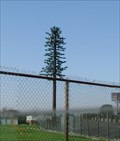 Image for Fake Pine Tree Tower - Garden Grove, CA