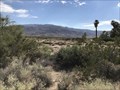 Image for Mojave And Colorado Deserts Biosphere -Joshua Tree NP, Twentynine Palms, CA