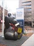 Image for Tufts Medical Center Teddy Bear (Formerly F.A.O. Schwartz Teddy Bear) - Boston, MA