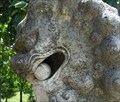 Image for Chinese Lions - Longwood Gardens, Kennett Square, PA