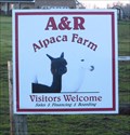 Image for A & R Alpaca Farm - Williamsport, OH