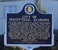 Image for City of Haleyville, Alabama - Haleyville, AL