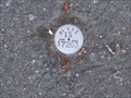 Image for WSDOT IS17203 survey marker along 520 bike trail - Redmond, WA
