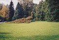 Image for Peacock Topiary - Mainau, B-W, Germany